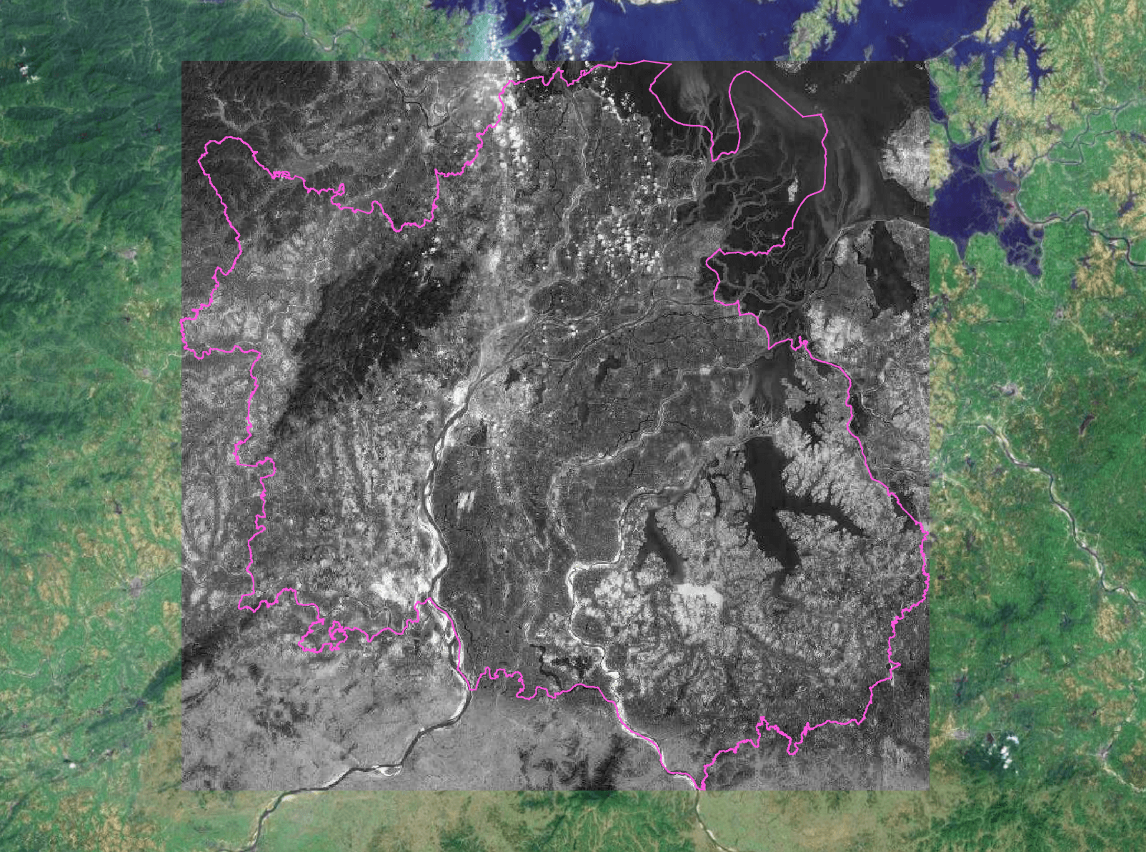 image-20260303163907352